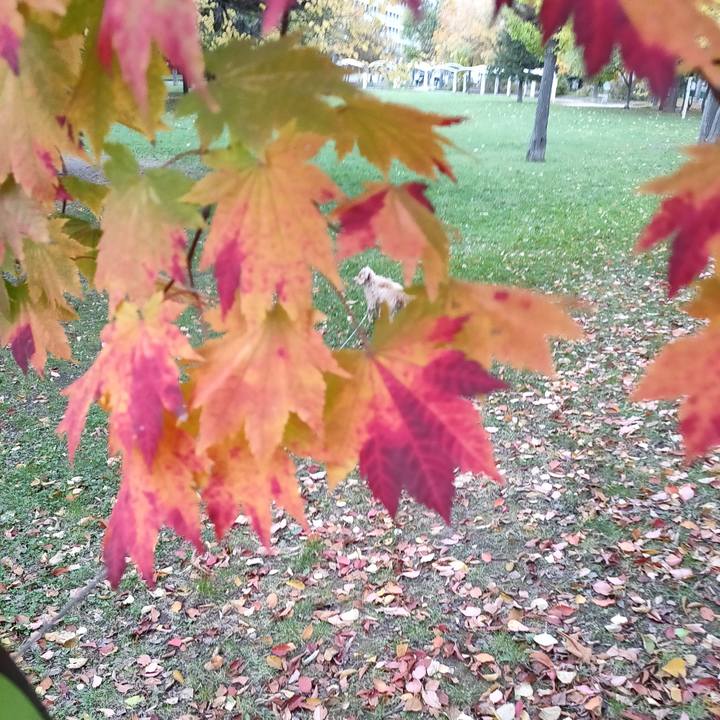 3bf2dcc9 5036 4ab0 97f6 353d798c5abb 1603410778841