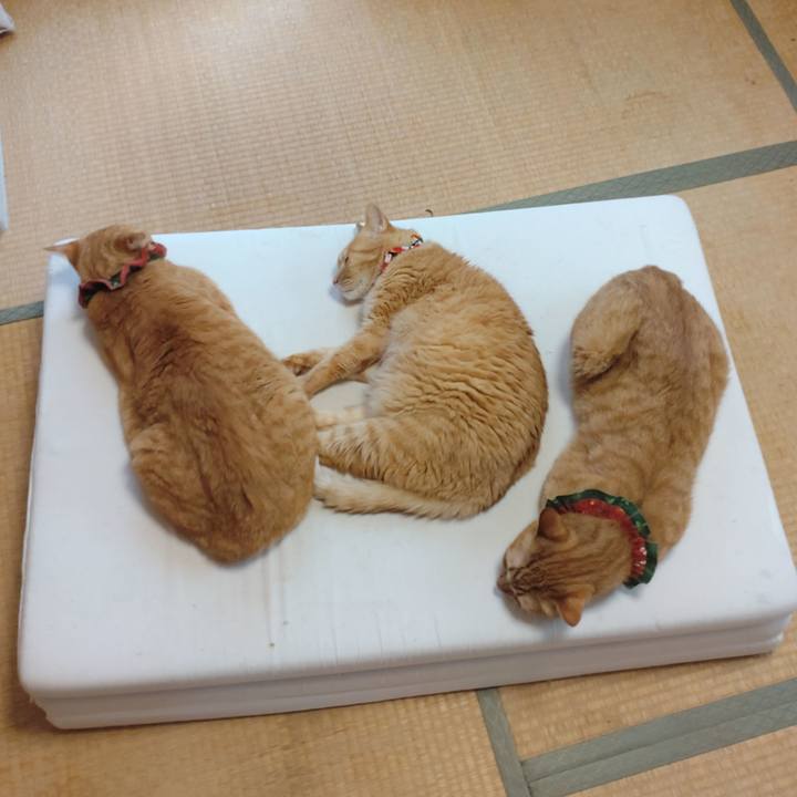 3bf34142 12da 4b3d a78d c8006194b222 1662867121222