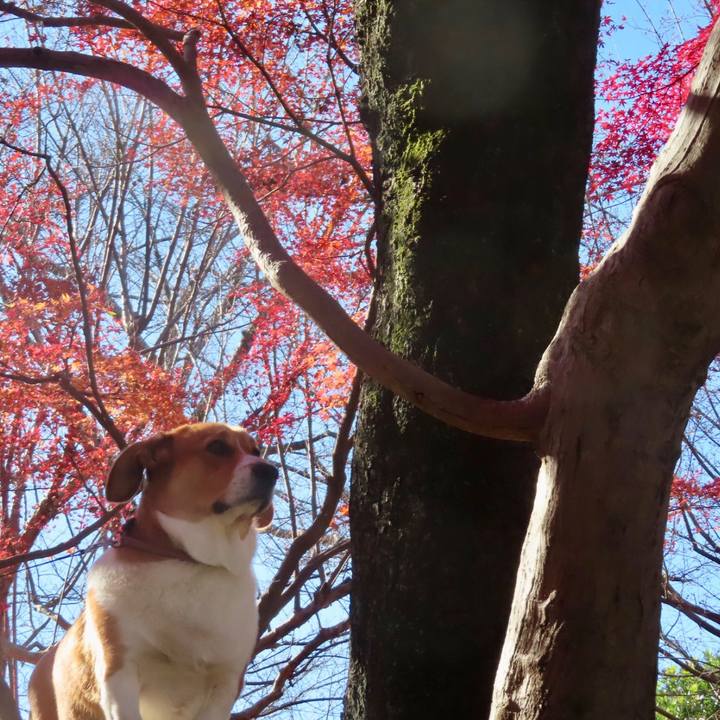 3bf35bcf 1273 4363 b209 878a65c3502e 1638153877268