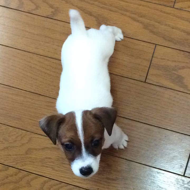 3bf3601e fe0a 418e 93d9 5c17d7972c23 1510010938982