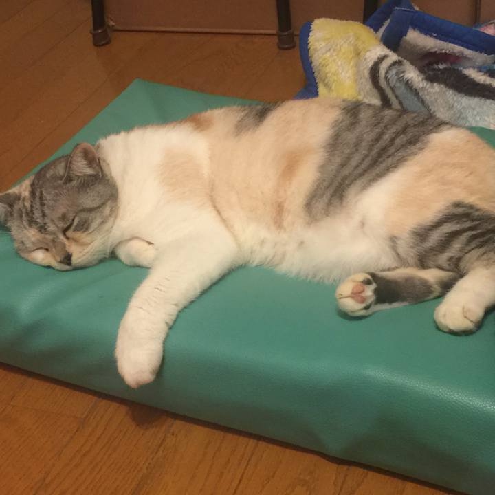 3bf372fa 3d99 4ec4 8bb6 0c2878f89012 1570095782671