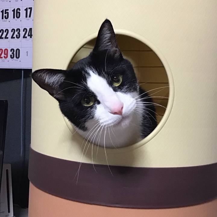 3bf37c72 41a5 43d3 98f4 75c7ffc3260c 1713946887930