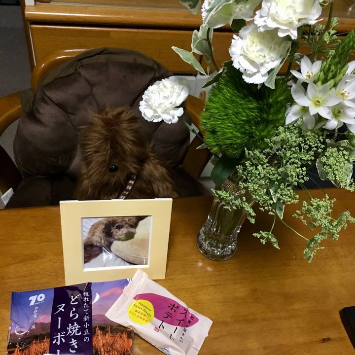 3bf3d0f4 d8e7 4fea b7c9 c7a5c095e70f 1572704594395