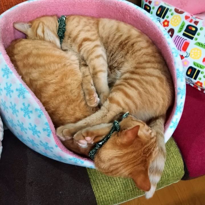 3bf3d23f 0331 4f13 bcf1 09b1efe87212 1580204857473