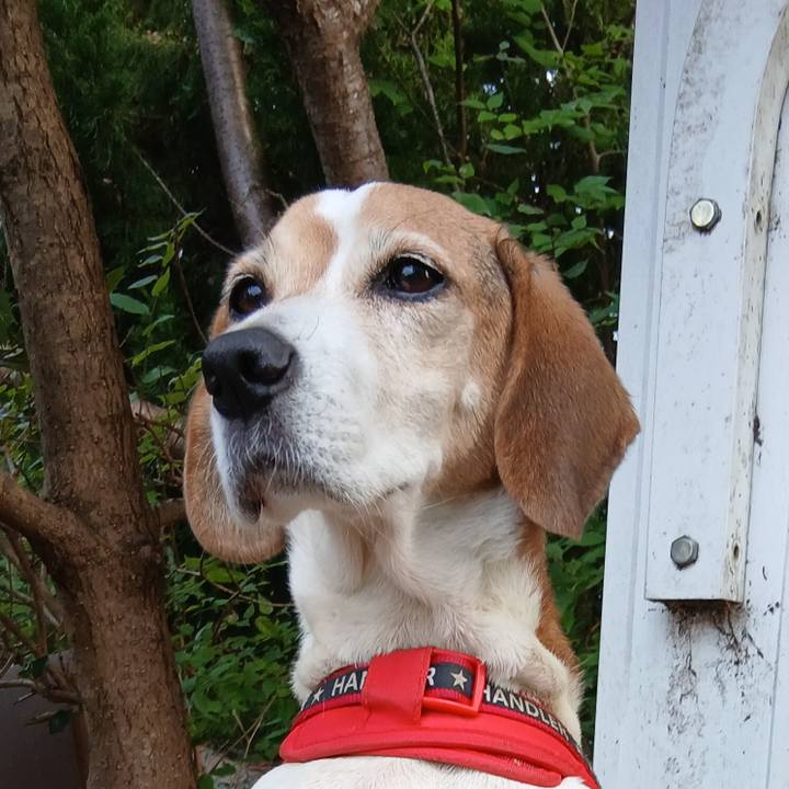 3bf40033 acb2 4920 88d3 e760bb5f228f 1761825482338