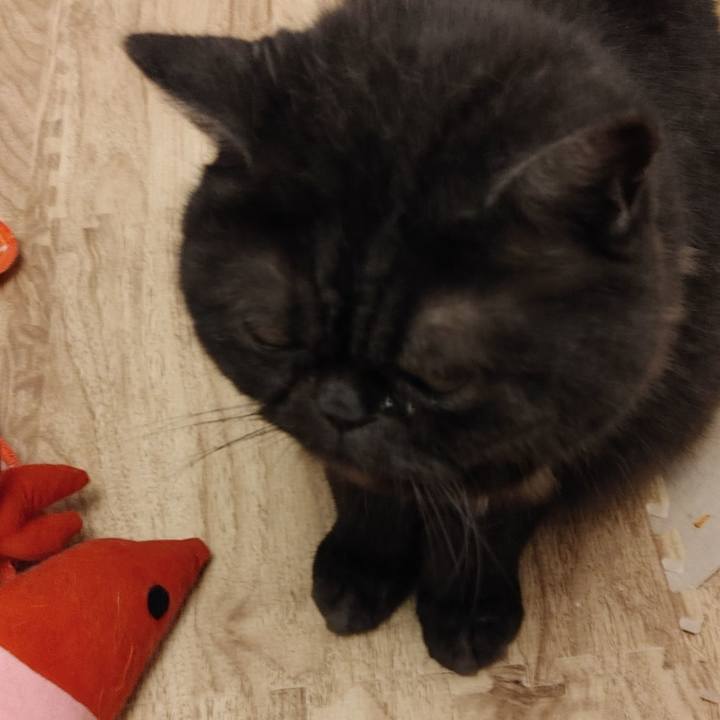 3bf462b2 d6c2 4b09 b23d 8a541454f886 1624791914949