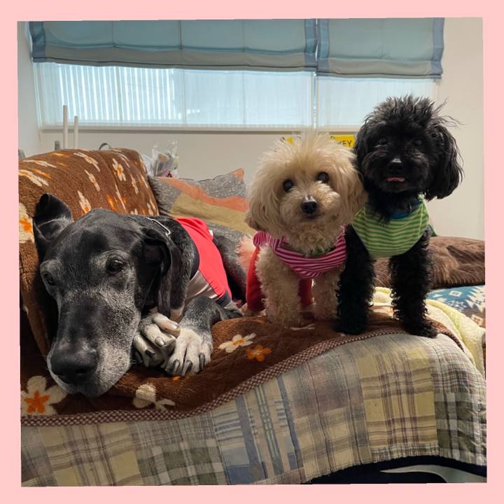 3bf470ab 2d11 4887 a0e5 fbc67a6a4699 1648507316754