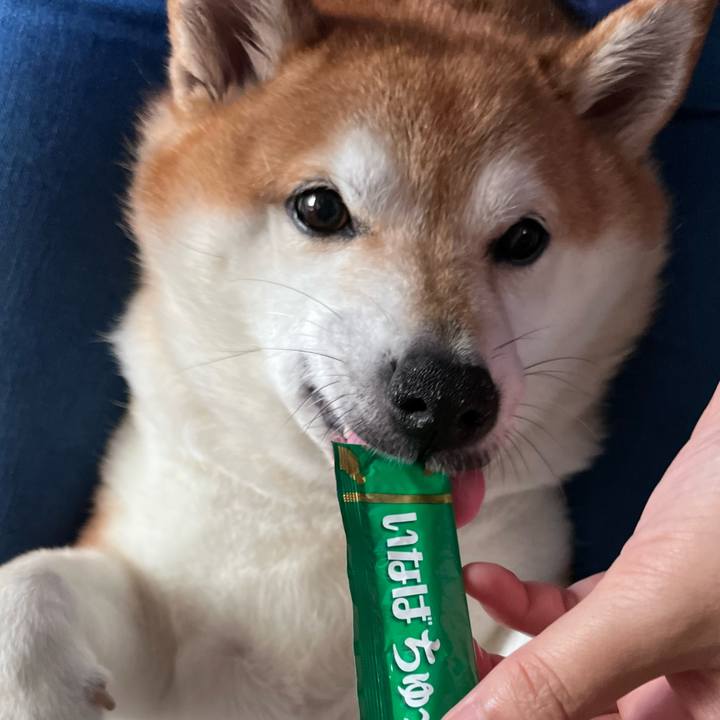 3bf4988e 50dc 4f8f 8321 6c8c0327b30d 1694407419463