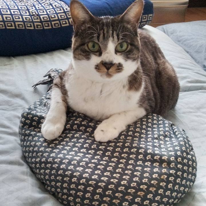 3bf4bdb5 86ba 4513 8e79 10e7877c19ad 1762576565294