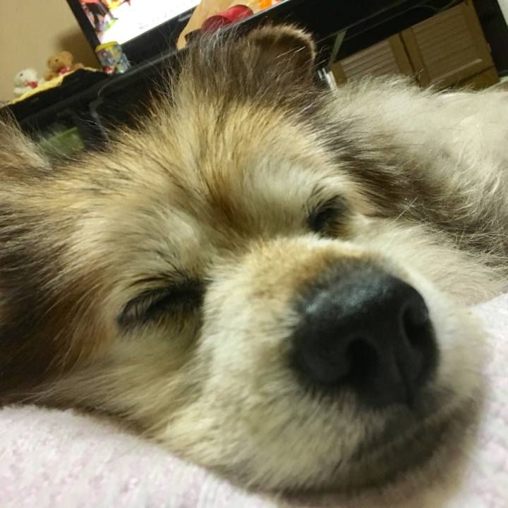 3bf4fa67 8260 4bca 8454 7903f41bd376 1549458773959