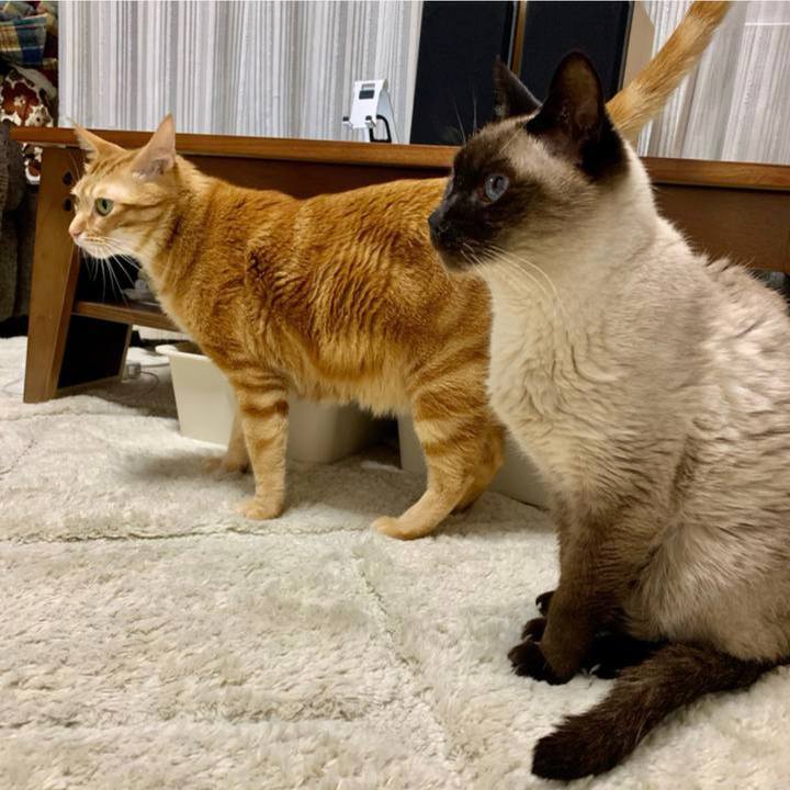 3bf541a4 9b88 4d2a 917c 649e7a64357e 1686819199820