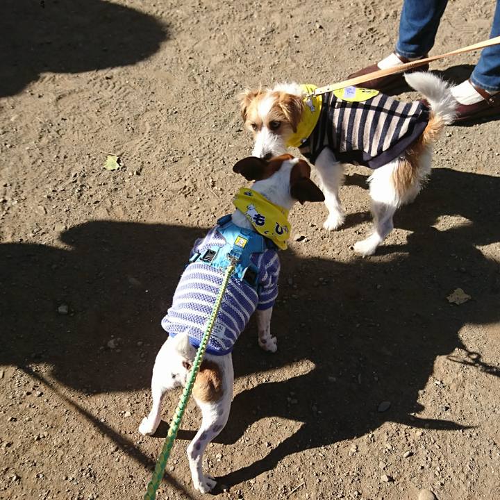 3bf557b6 1f7e 4e49 9172 06cd3627764a 1606545562909