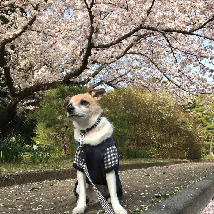 3bf5a2ff cb88 487a bfba 78eb90218bba 1617176404182