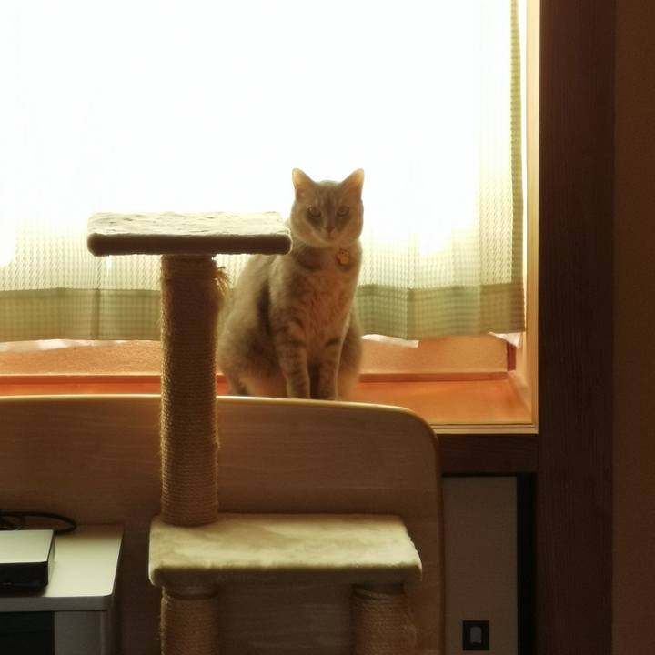 3bf5b0b4 f188 47a2 9821 bb7b482007d2 1622175096476