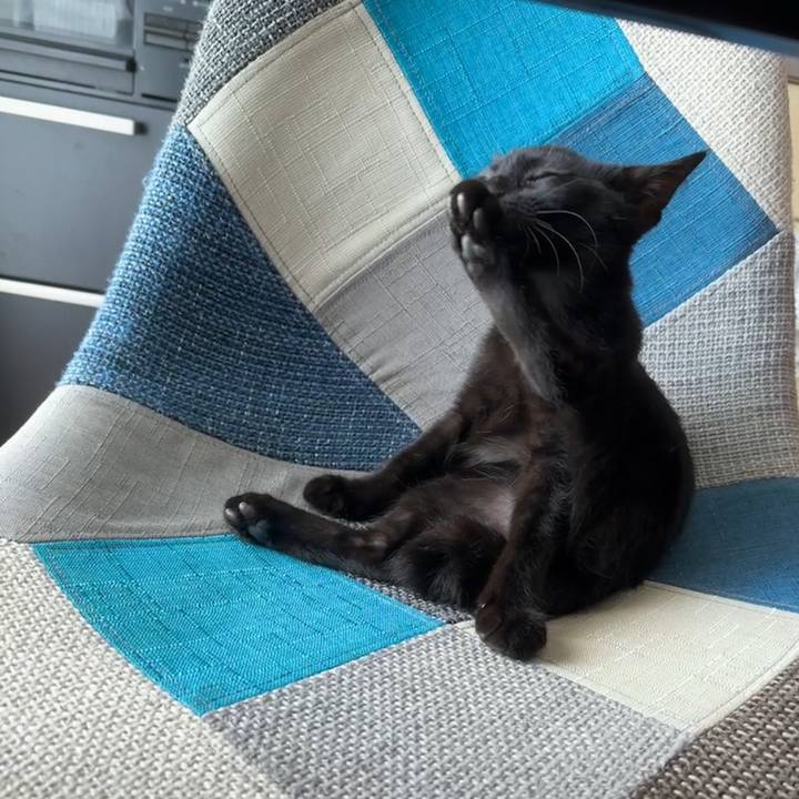 3bf5d77f 87b8 485c 9fe1 28ec4b3dc50b 1723877331491