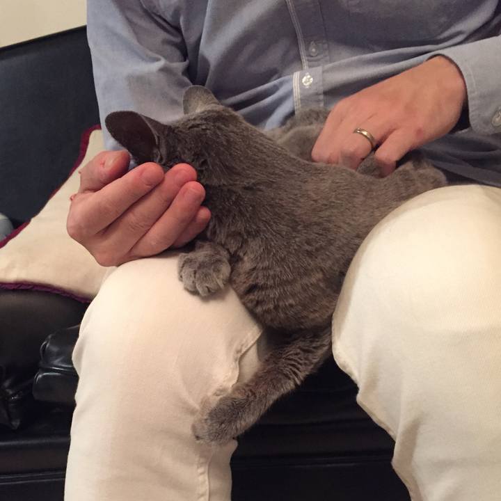 3bf5e1a5 7abd 454e a874 5113fdf7794b 1573687686123