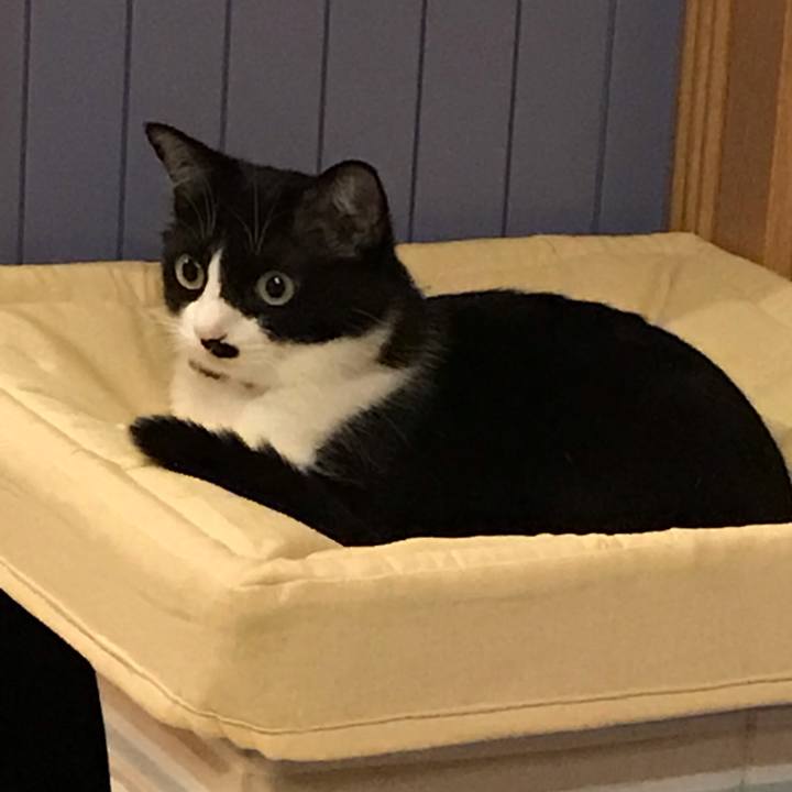 3bf61f74 b4bb 4aae a8cf 0cfdf3a5f86e 1560314690155