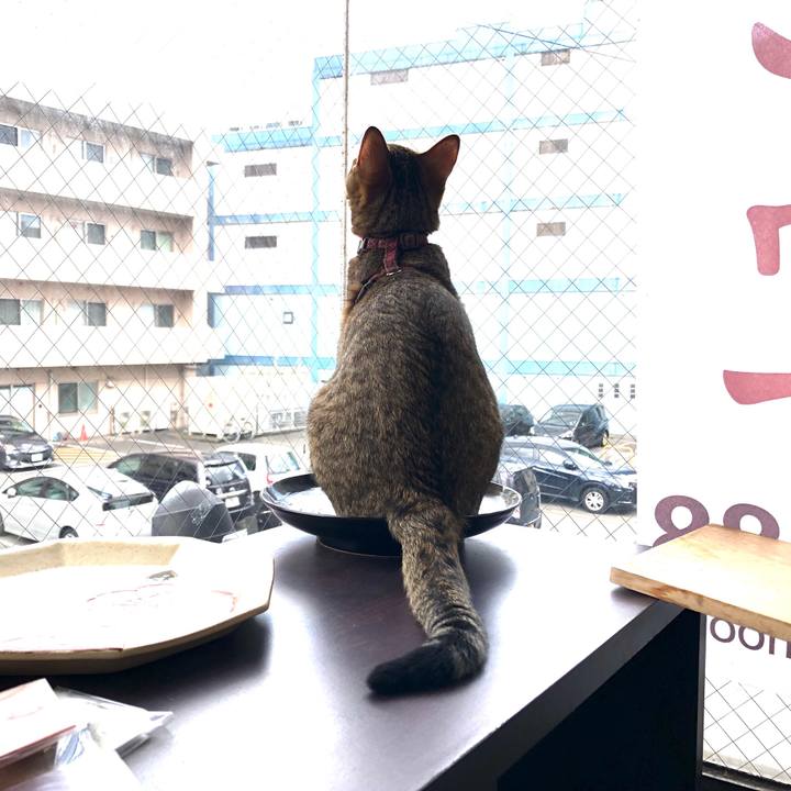 3bf6593f 173c 412a 8844 ba4b799fde80 1587349800658