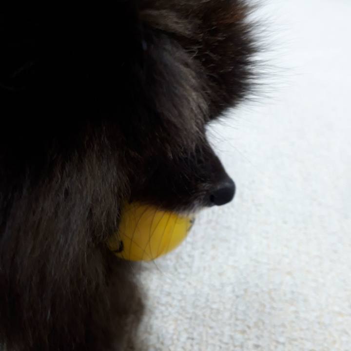 3bf665cc 2003 4373 b8ce 56c2c3b6c73e 1517604347732