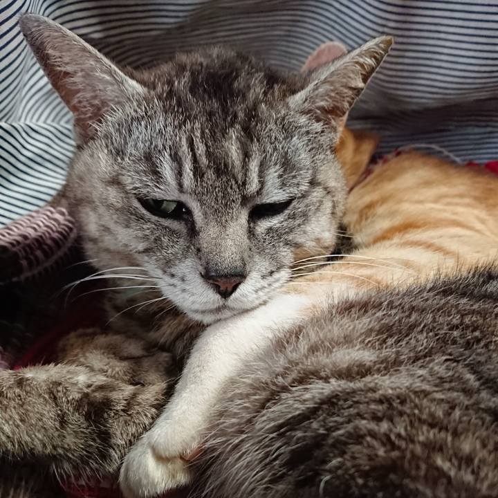 3bf670e3 83b6 49fd 90ca 4ce67bd22867 1562484745885