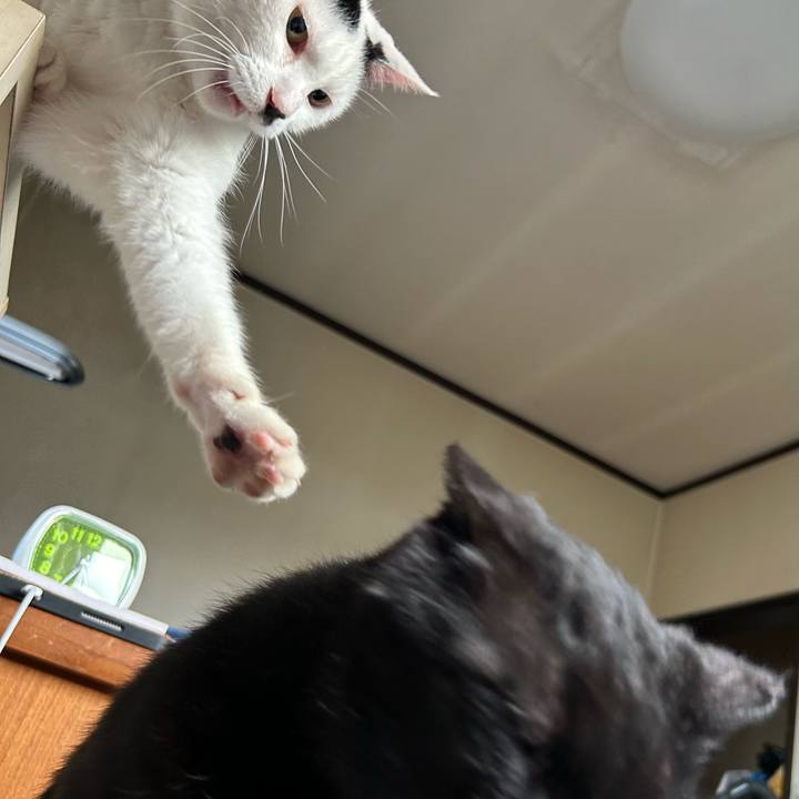 3bf67a90 b589 48ec b15e 723db323627e 1717145619066