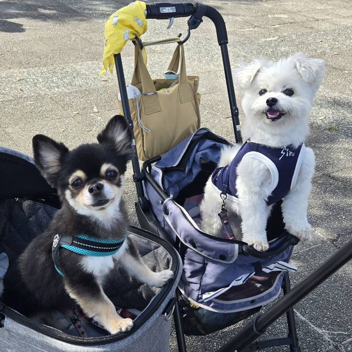 3bf6822d 303c 49af 8a26 90c44c6c38c7 1760793120780