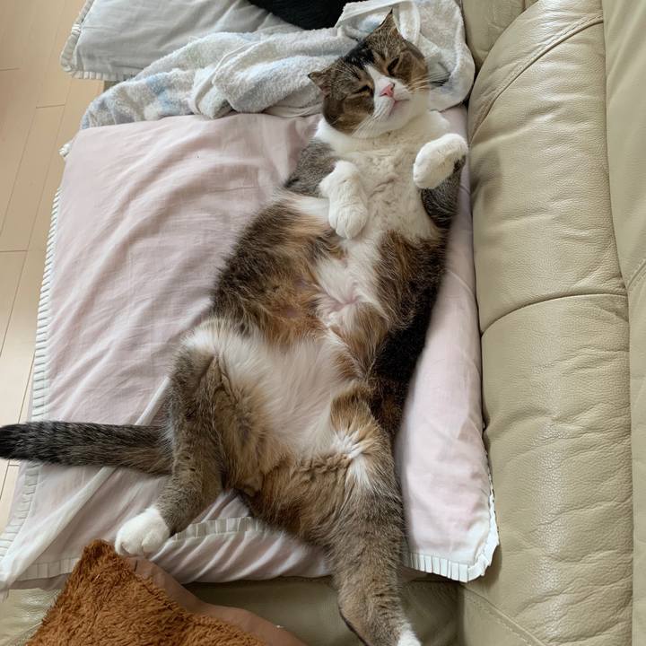 3bf6d0ef b1ce 4510 be87 8b446a6c5f04 1572587273448