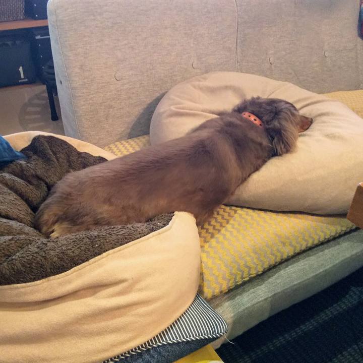 3bf6d578 4475 4ae6 a358 1a64f3b2a1fc 1588319547458