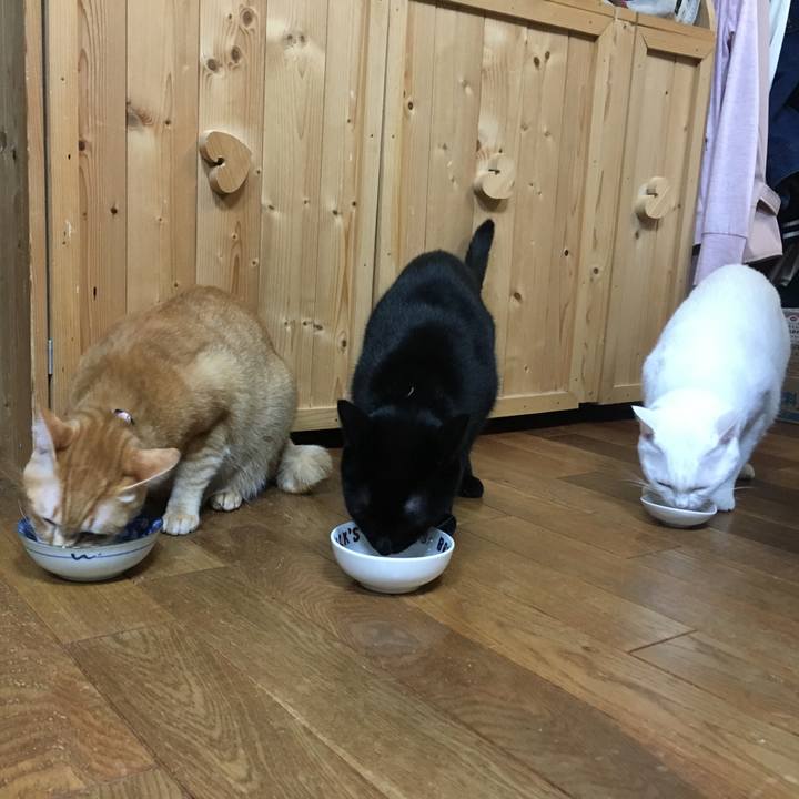 3bf6d92e 0b73 4280 89b7 bbb74f54b534 1542713114774