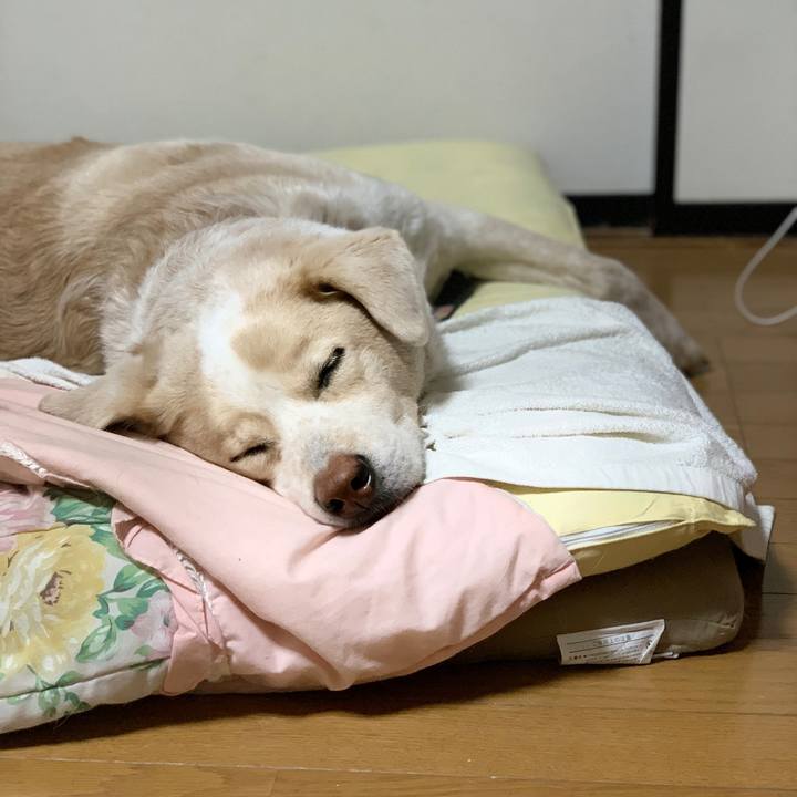 3bf6e2e1 5e27 4dea af6c 71dcf009fe8c 1579529199849