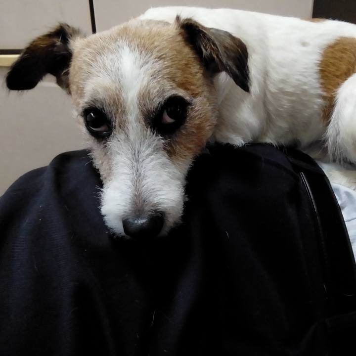 3bf6f95d 1aac 4cb2 82c9 2d0510710621 1541316483480