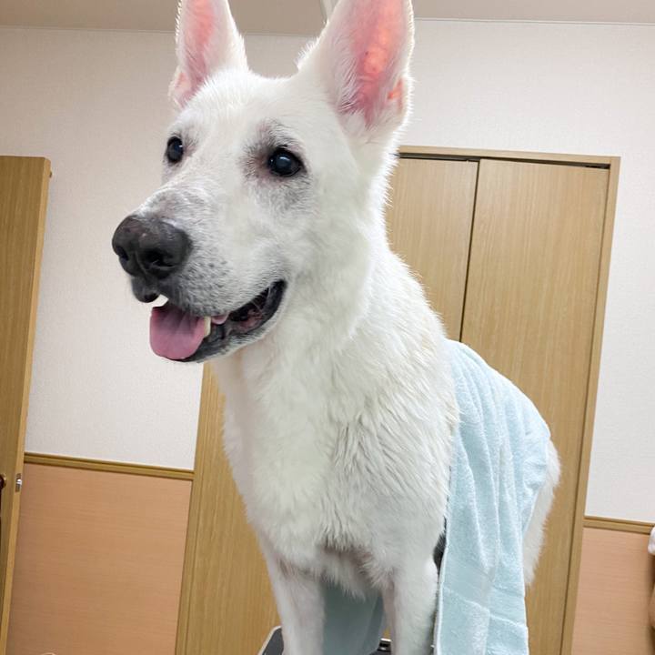 3bf70554 c894 4144 85fb 61da707cc491 1581835063974