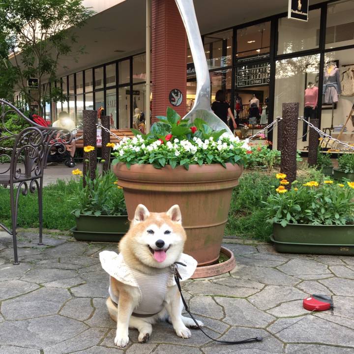 3bf731a2 16ba 4115 b821 c1a3459d50b1 1592478829397