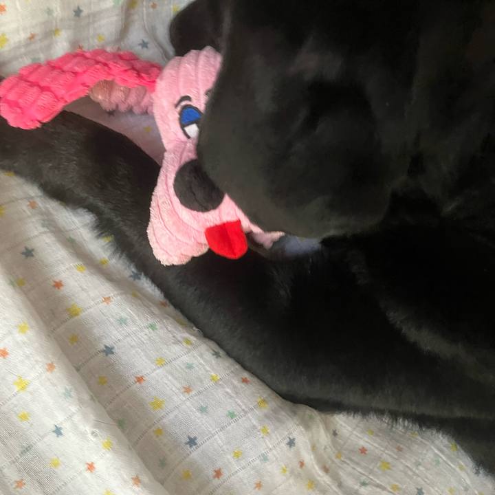 3bf73da1 b255 4df1 98fe 6eaa42fa617a 1755222184595