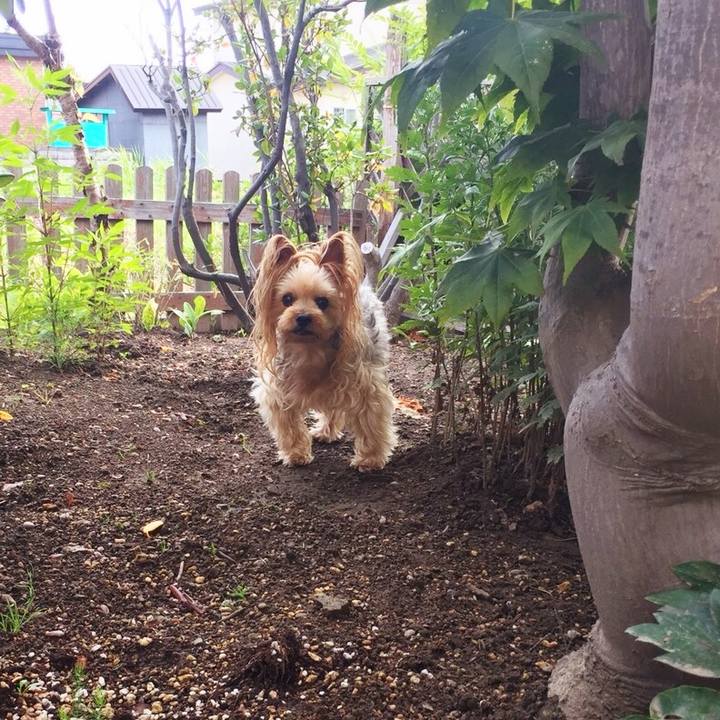 3bf76876 0965 4092 ad8b dd96c2a0b174 1534124793613