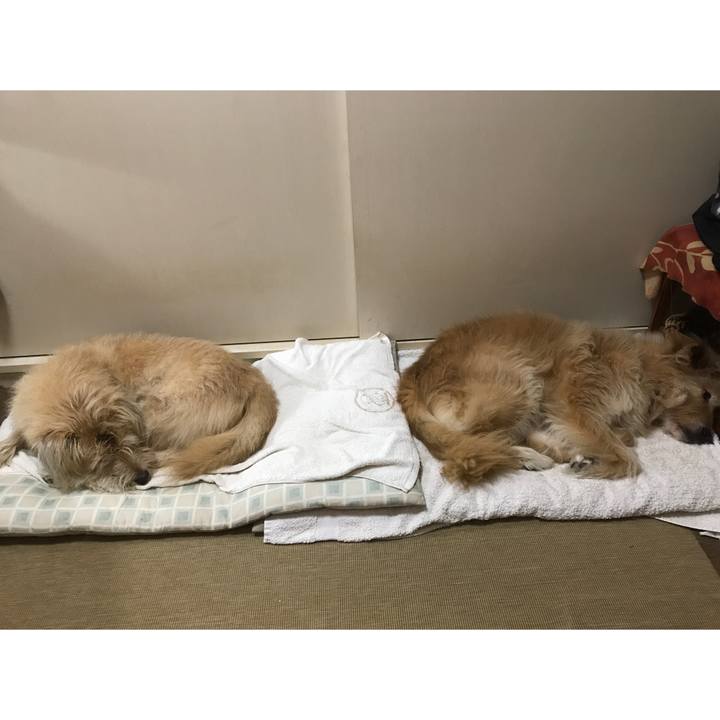 3bf78845 b0cb 4b34 a13f d20797a6c8e3 1541480076822