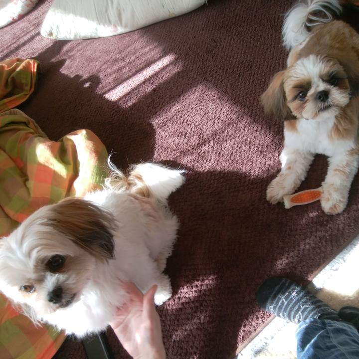 3bf78e9d f4bf 421e 8f4a fac6c9d72bdf 1541906967392