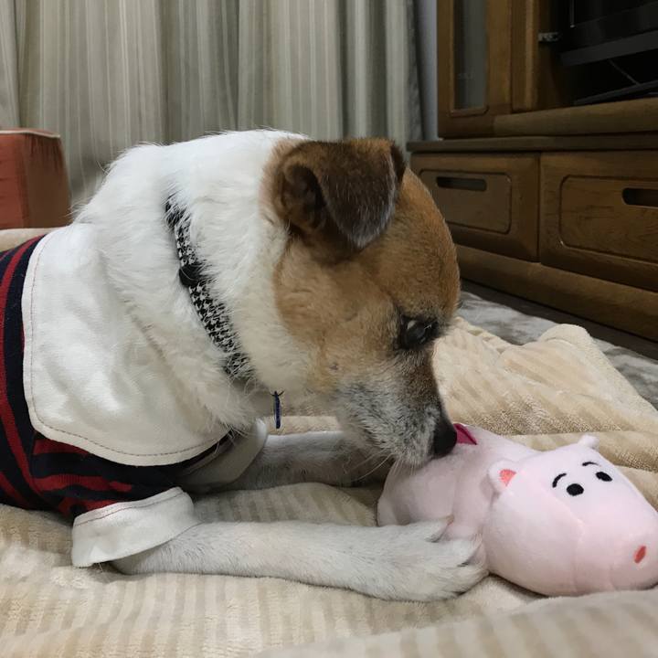 3bf7e4f9 4137 42e8 a855 1c2ef8087693 1577693448222