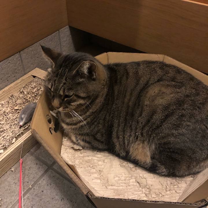 3bf7e715 cf2b 4486 ac03 cabd7176a26b 1604489324137