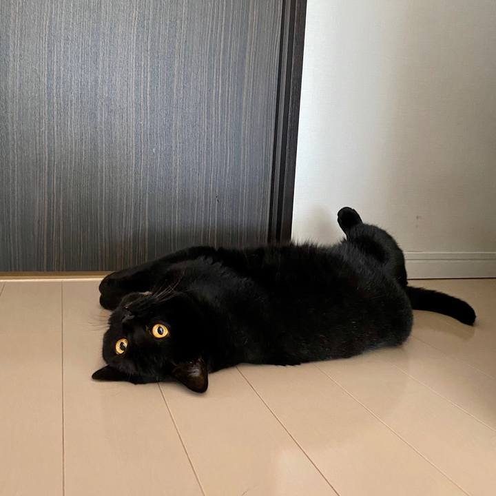 3bf7e9b4 6aa5 44c1 ba68 7f3632bda0fc 1596749828462