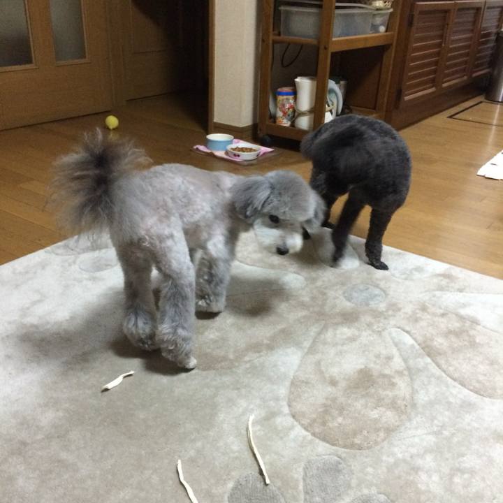 3bf7ee8b e1f6 4f80 b514 29ea8b462197 1751849029951