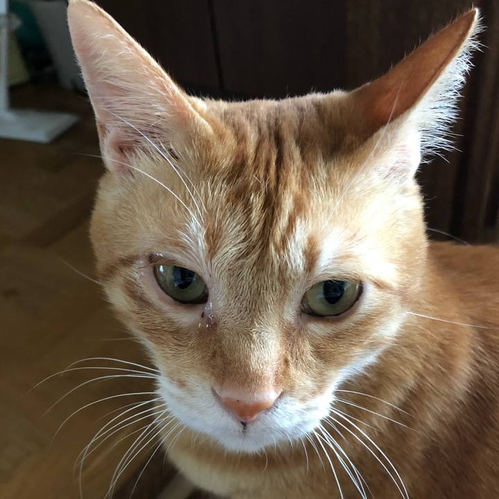 3bf7f107 dfbf 4b97 9e59 723b9c6b4d2e 1599952994506