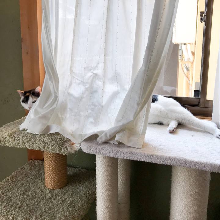 3bf85717 fde0 458d 9200 1d5ad1fd89ee 1522804511764