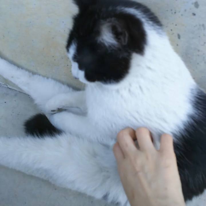 3bf86616 5ed6 4269 beb6 fcebe09f512e 1555802592580