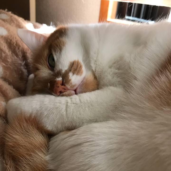 3bf88b93 9d3c 44fb ba36 51bc15ec74f8 1521871092357