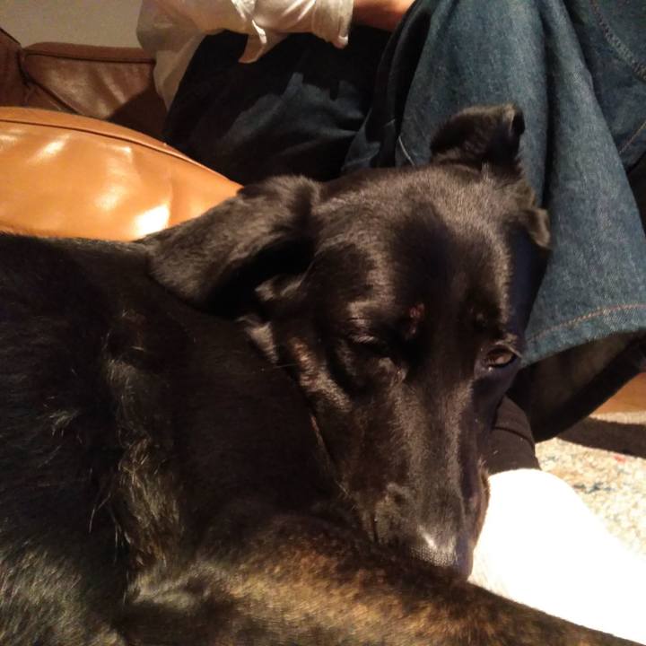 3bf8a4b1 a02d 40f7 a14c 95b8838e771a 1587467628832