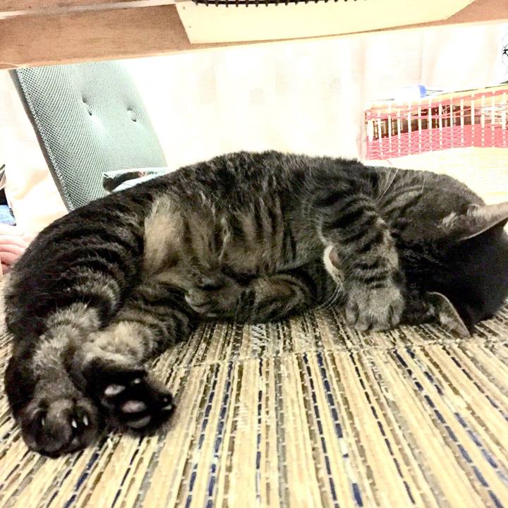 3bf8bcf0 f21b 4895 9202 fe21752c2156 1534565848022