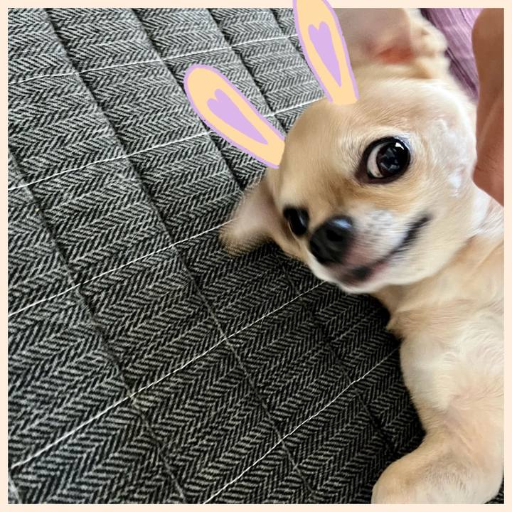 3bf8d9bc d5bf 4b7a b931 ff7a3dc9d6ea 1662766189547