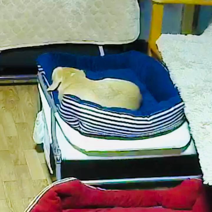 3bf905a4 4a37 4514 b20e 0cd8827c80b8 1573294736893