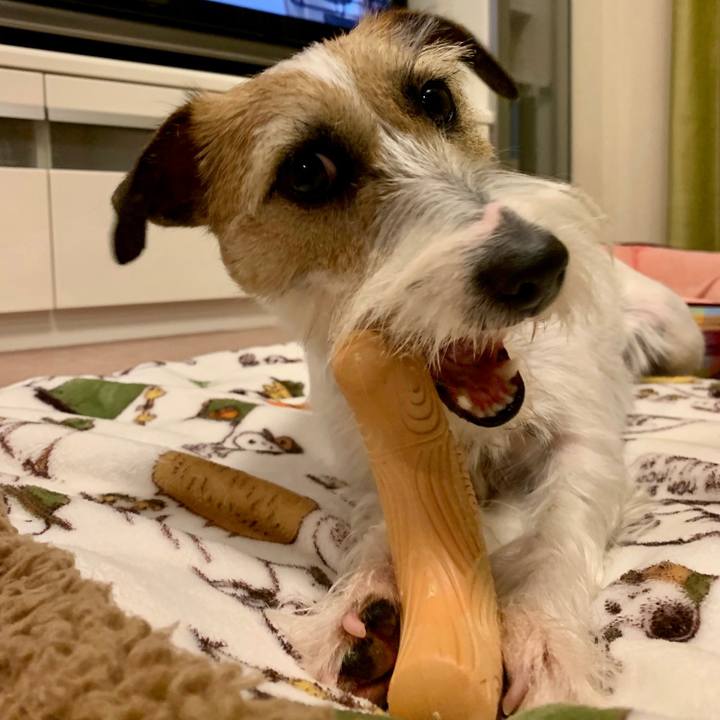 3bf94a07 cd4b 40e7 94fd 7a5f26bb114b 1608911347355